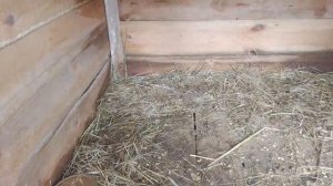 Вот такое доброе утро😢