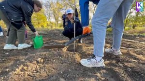Керчь присоединилась к акции «Чистый Крым»