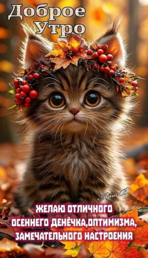 Делаем всё из бумаги