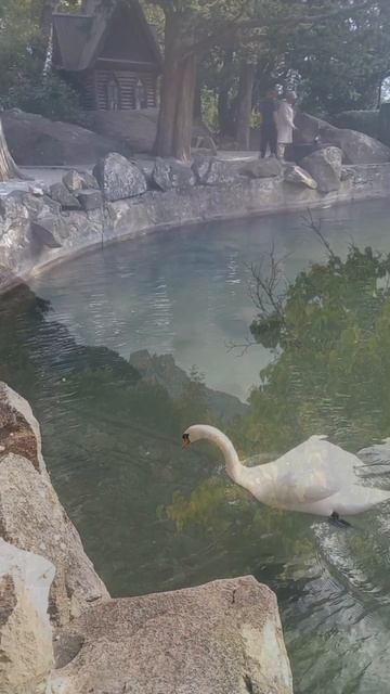 Мой Воронцовский