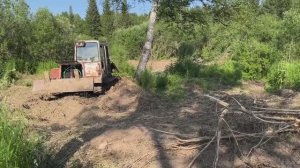 Взяли Барсука - Тайга. Кузбасс. Июнь