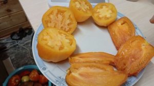 Томат Жёлтый огонь 🔥🔥🔥 Сладкий огонь☺️👍🔥🔥🔥