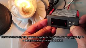 Как создать простой регулятор температуры для инкубатора с помощью ПИД-термостата Haswill 113M?