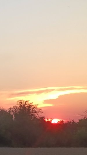 Где Б. Н.Ельцин оздоравливался!