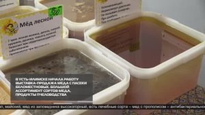 Новости ИРТ 31-10-2025