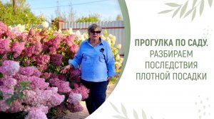 ПРОГУЛКА ПО САДУ. РАЗБИРАЕМ ПОСЛЕДСТВИЯ ПЛОТНОЙ ПОСАДКИ