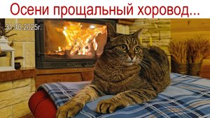 Готовим новое путешествие или КОТоБУДНИ последних дней октября 2025 г.