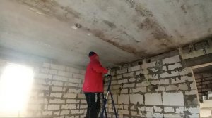 Дед её нашёл. Подарок для мышей. СЕМЬЯ НА ДАЧЕ #292.