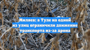Миляев: в Туле на одной из улиц ограничили движение транспорта из-за дрона