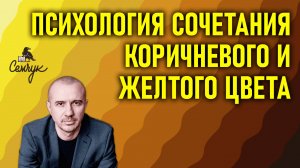 Как сочетание коричневого и желтого цвета сохраняет наши ресурсы. Феноменальная психология цвета