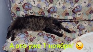 Влог.Радуга. Люська.