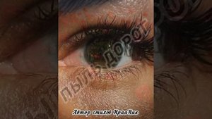 ЖИТЬ Я ТОЛЬКО НАЧАЛА