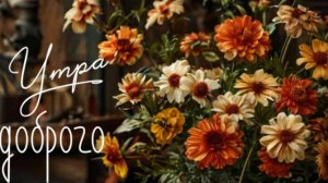 Суббота! Доброе Утро и Хорошего Дня Субботы!