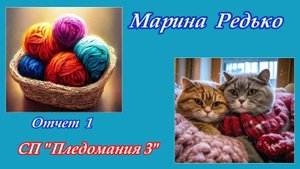 СП "Пледомания 3" / Отчет 1