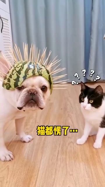 Защита от домашнего Василия