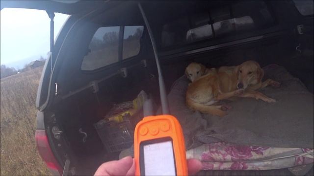 Опять гоняли мастеровитого зайца смотреть онлайн