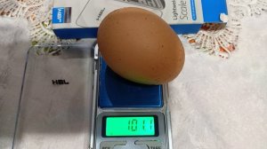 Мои куры несут крупные яйца. Молодцы.