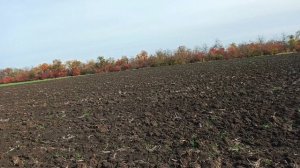 С батей на охоте