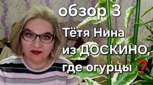 Тётя Нина из ДОСКИНО, где огурцы?