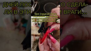 ЭТО ПРОСТО УЖАС ,ЧТО НАТВОРИЛИ ТВОИ ВРАГИ С ТОБОЙ В ДНИ УСОПШИХ