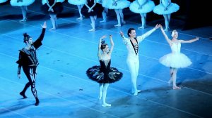 "Лебединое" 01.11.25 (поклоны)