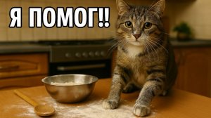 Смех до слёз: лучшие приколы №206