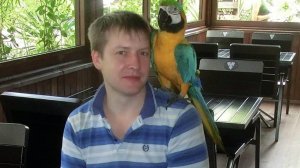 Входная Дверь в Дом Усадьба Хлудова. Дизайнер Руслан Мастеровой. г. Сочи . Парк Ривьера