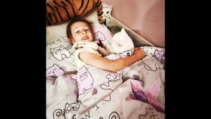 кот лежит на кровати