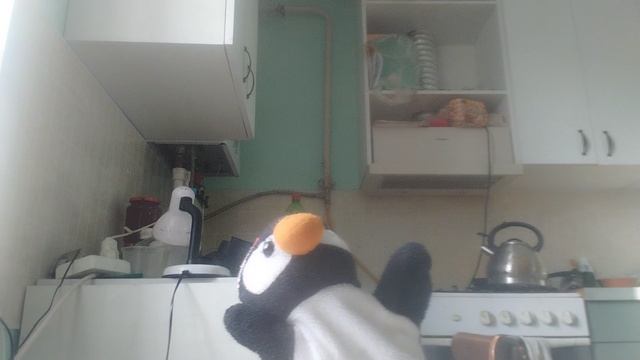 1000009744.mp4 смотреть онлайн