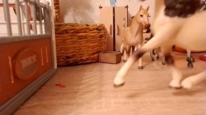 неожиданная стена🫨🤕 (лошади шляйх видео