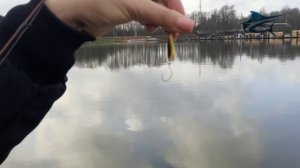 Небольшое интервью