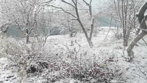 1 ноября 2025 в Тюмени