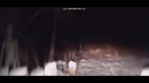 Кадры Серого Пришельца. Даже собака почувствовала