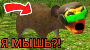 Я СТАЛ КРЫСОЙ! СИМУЛЯТОР МЫШОНКА! ЖЕСТЬ!😱😨😰