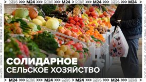 Солидарное сельское хозяйство стало популярным среди россиян - Москва 24