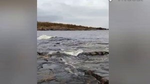 Осень на Ладоге mp4