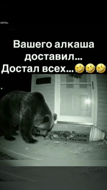 Юмор 🤣