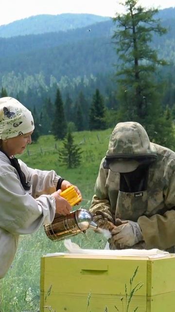 Пасека Бойко.mp4