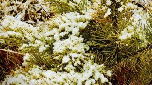 Первый снежок в городе ❄️, Асбест, Средний Урал