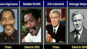 Герои Полицейской академии. Что с ними стало?