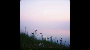 TracKilevskiy - Песня любящих сердец ( песня написана на заказ )