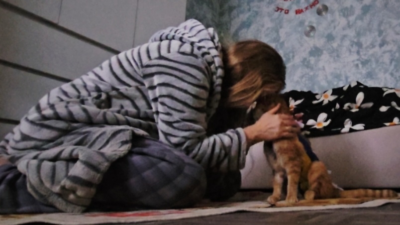 Кошке сделали операцию/Пересадка куста/Уборка🫧01.11.2025