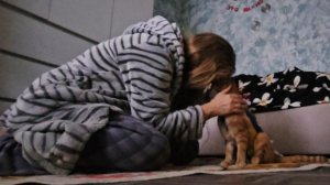 Кошке сделали операцию/Пересадка куста/Уборка🫧01.11.2025