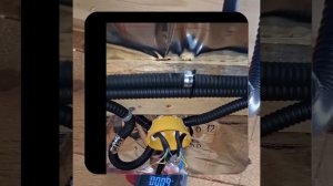 1000038991.mp4 (Собака смотрит на монтаж электропроводки (распайку р/коробок) в доме А-фрейм)