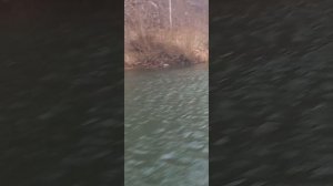 Пещера. Река