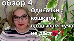 Одиночки с кошками, в долг вам Куча не даст!