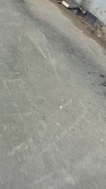 №304. Двор П. Осипенко 48. 3 апреля 2025 г., 14:35:21. VID_20250403_143405907