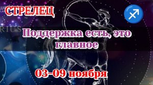 Стрелец 03-09 ноября Таро расклад на неделю