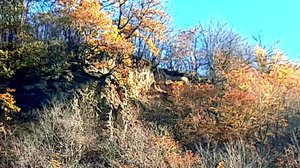 Журчит ручей осеннего дождя.