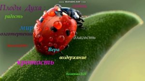 РАЗГОВОР С БОГОМ В ТАЙНОЙ КОМНАТЕ! 3ч. ВЕРНЫХ БОГУ ДО КОНЦА - ЖДЁТ ПРЕКРАСНОЕ БУДУЩЕЕ!!!!!!!!!!!!!!!